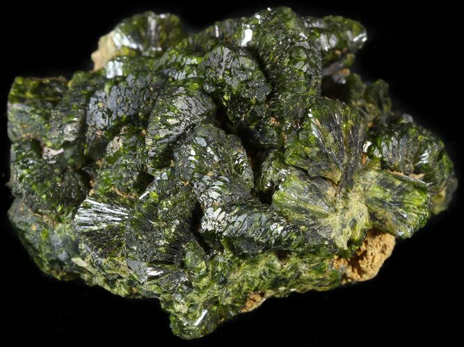 Green Epidote Crystal Cluster - Morocco #49412